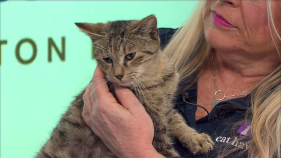 Whisker Wednesday 2-25-26